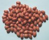 100 9x6mm Light Brown Oval Wood Beads 